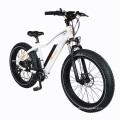 350W dynavolt cougar mtb bike retro electric bike